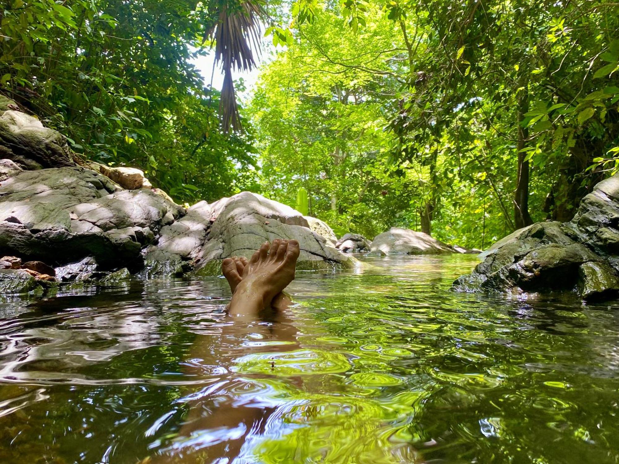 Canto Tayrona *