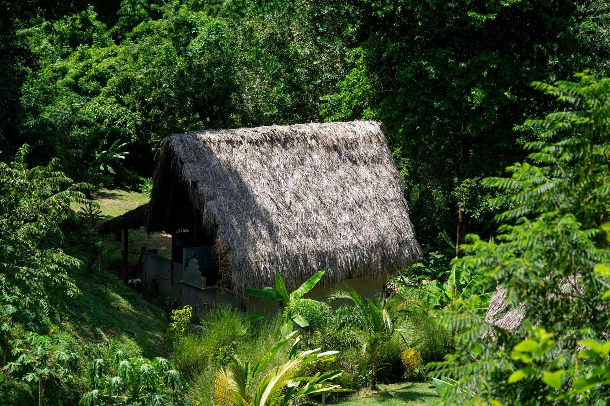 Canto Tayrona *