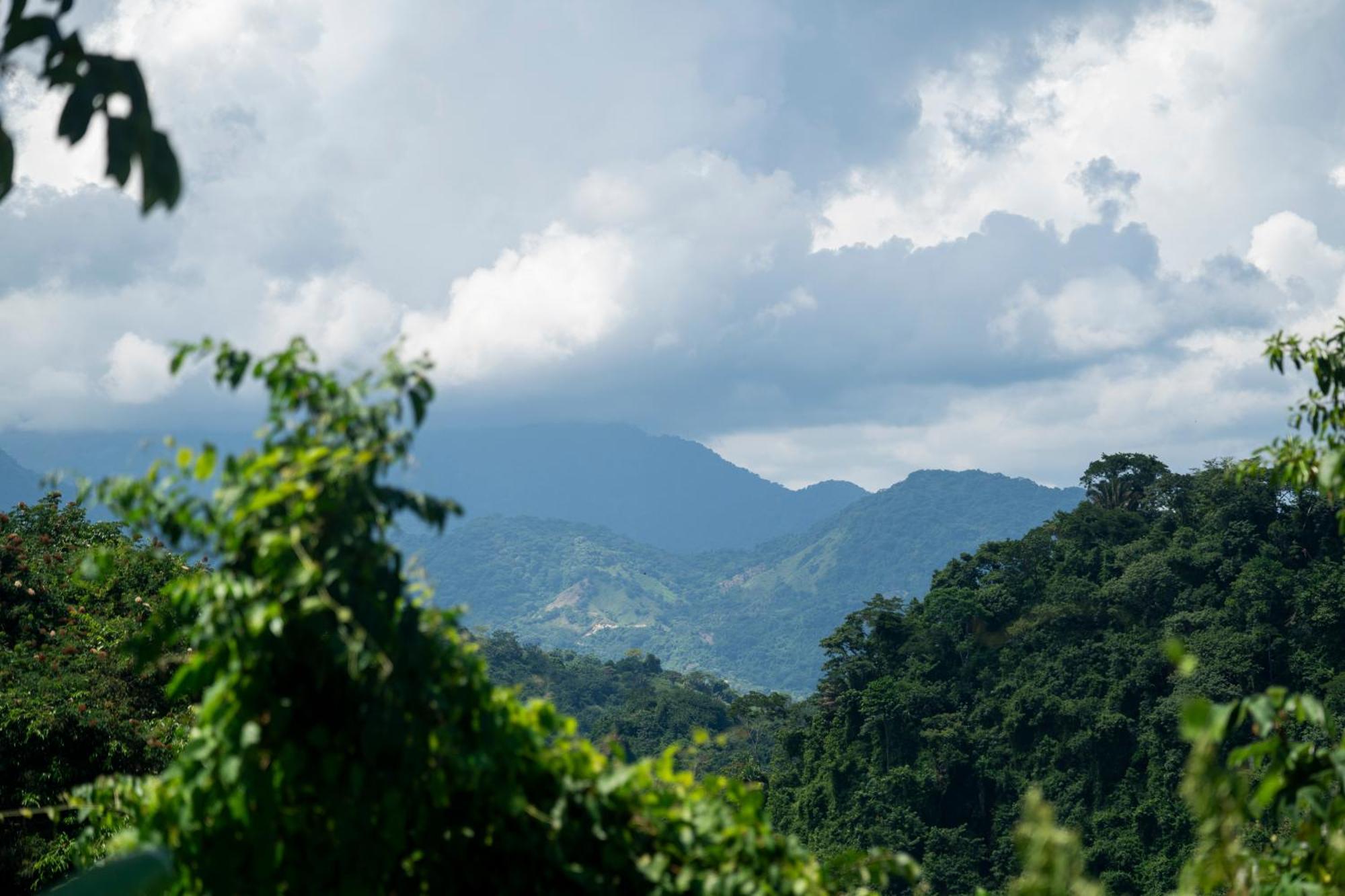 Canto Tayrona Ferienhaus Buritaca